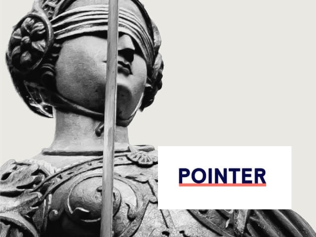 Pointer Cover