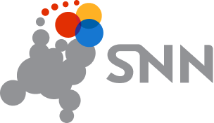 SNN logo